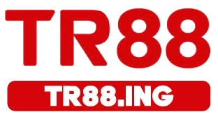 TR88.ing_logo-domain